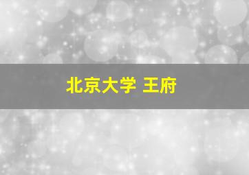 北京大学 王府